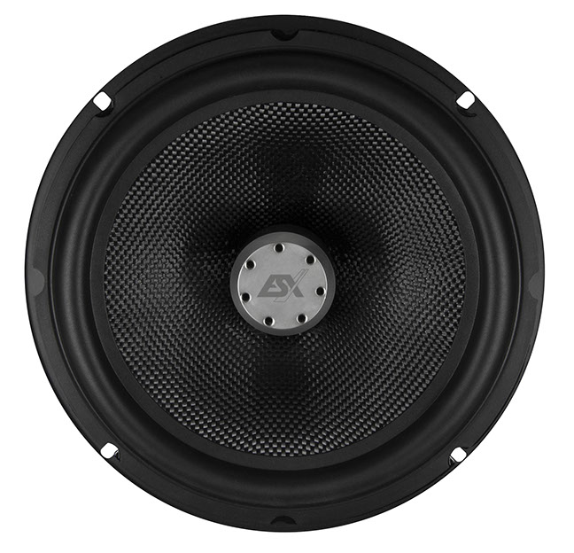 ESX QXE8.2W 20 cm Woofer Paar QUANTUM 8" Bass Lautsprecher 250 Watt für TÜRMONTAGE