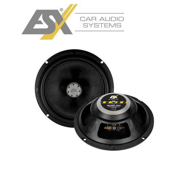 ESX QXE8.2W 20 cm Woofer Paar QUANTUM 8" Bass Lautsprecher 250 Watt für TÜRMONTAGE