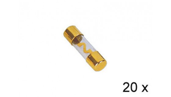 RTA 154.670-2 AGU glass fuses plated, 20A