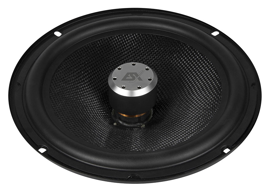 ESX QXE8.2W 20 cm Woofer Paar QUANTUM 8" Bass Lautsprecher 250 Watt für TÜRMONTAGE