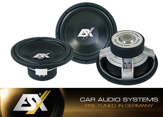 ESX SX840 20cm Subwoofer 600 Watt SX 840
